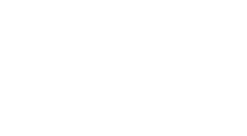 MACRO DESIGN LLC
